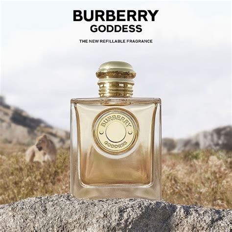 burberry black fragrantica|fragrantica burberry goddess.